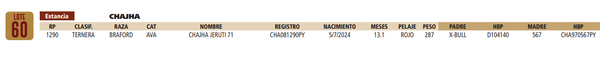 Lote LOTE 60