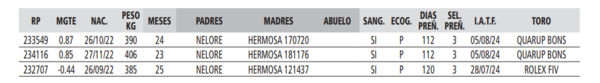 Lote LOTE 17