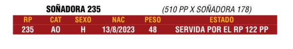 Lote LOTE 22