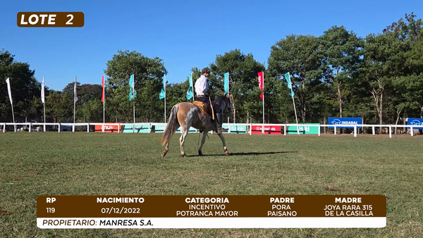 Lote LOTE 2