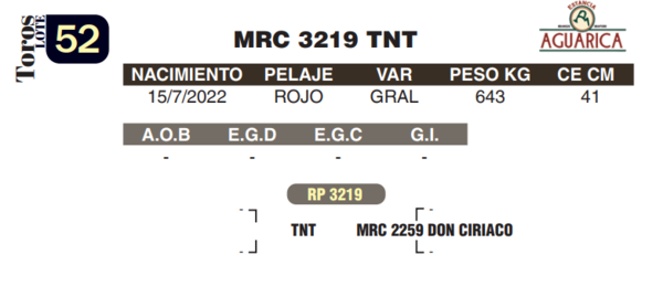 Lote LOTE 52