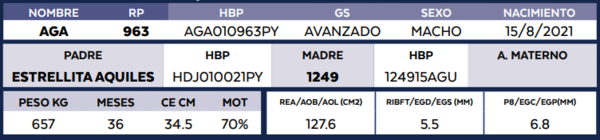 Lote LOTE 3