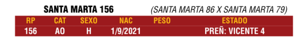 Lote LOTE 57