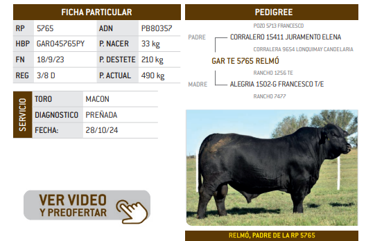 Lote LOTE 26