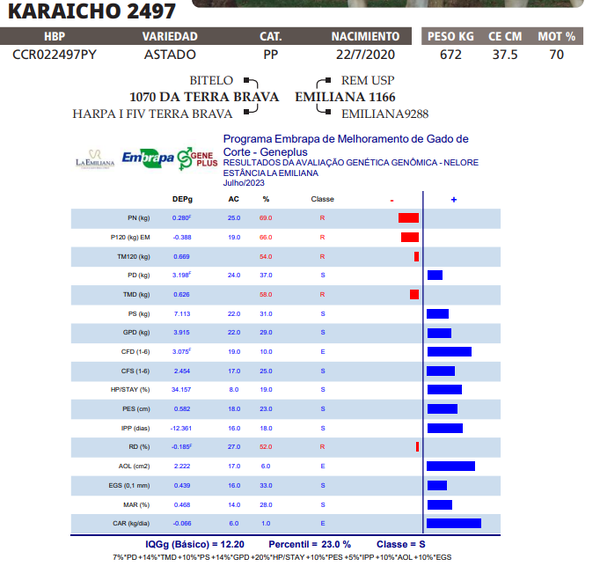 Lote LOTE 42