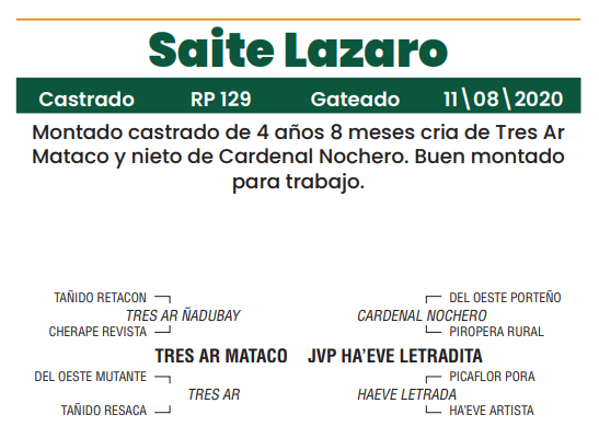Lote LOTE 16