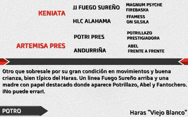 Lote JP ARTERO