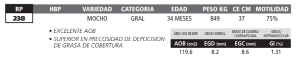 Lote LOTE 2