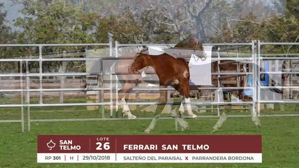 Lote FERRARI SAN TELMO