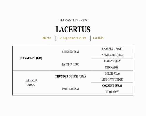 Lote LACERTUS (CITYSCAPE - LARENZIA)