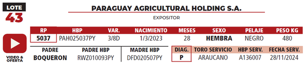 Lote LOTE 43