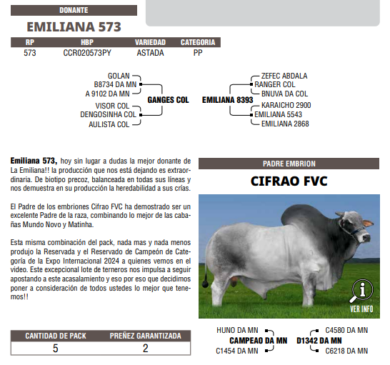 Lote LOTE 56