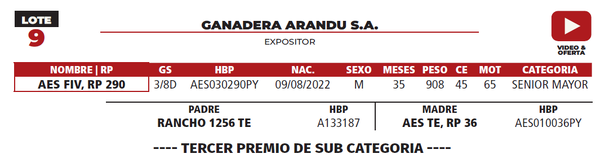 Lote LOTE 9