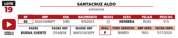 Lote LOTE 19