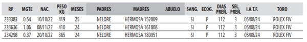 Lote LOTE 16