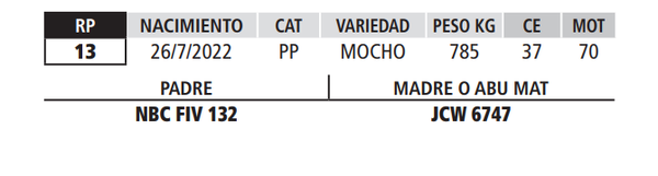 Lote LOTE 43