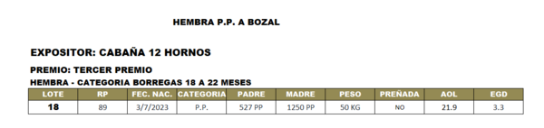 Lote LOTE 18- BOZAL