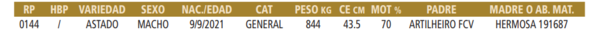 Lote LOTE 11