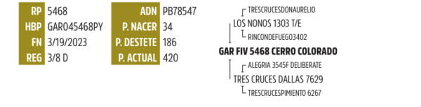 Lote LOTE 10