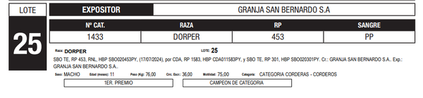 Lote LOTE 25
