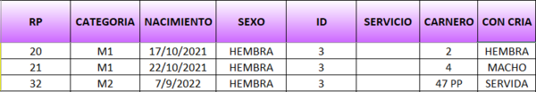 Lote LOTE 7