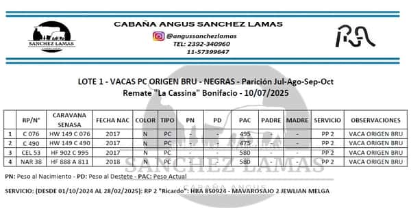 Lote VACAS PC