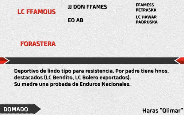 Lote LC SHERIFF