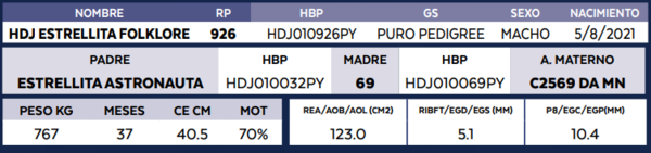 Lote LOTE 25