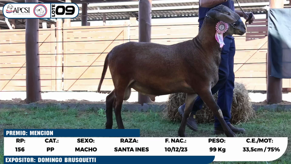 Lote LOTE 9