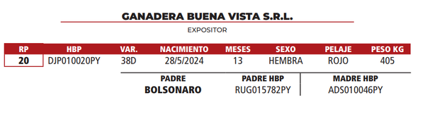 Lote LOTE 32