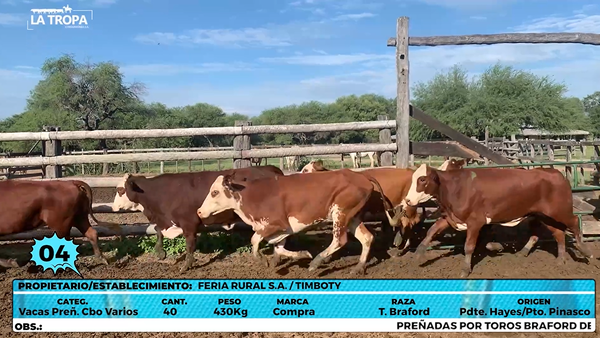 Lote LOTE 4