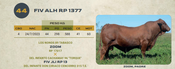 Lote LOTE 44
