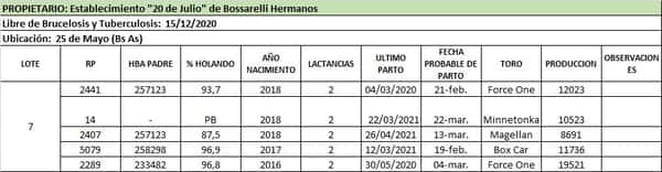 Lote Lote 7