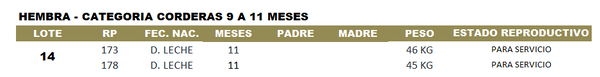 Lote LOTE 14
