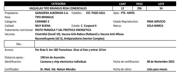 Lote LOTE 54