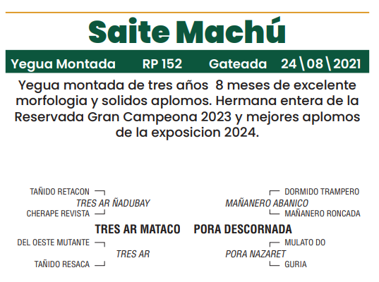 Lote LOTE 37