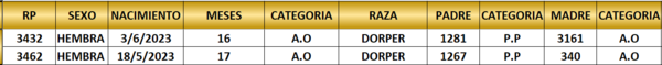 Lote LOTE 26