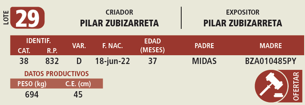Lote LOTE 29