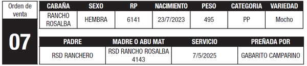 Lote LOTE 7