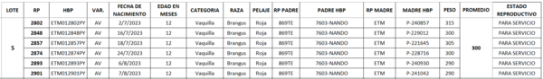 Lote LOTE 5