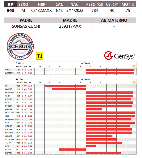 Lote LOTE 48