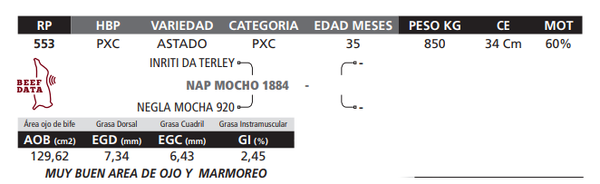Lote LOTE 53