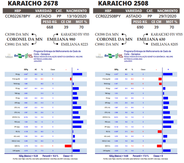 Lote LOTE 33