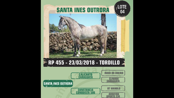 Lote Santa Ines Outrora