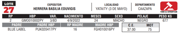 Lote LOTE 27- CAMPO