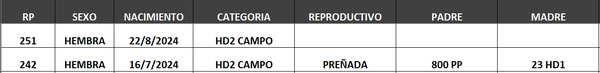 Lote LOTE 7- CAMPO