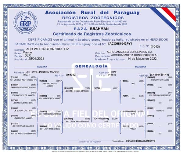 Lote AGROGANADERA CONCEPCION SA