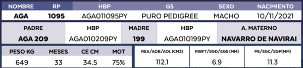 Lote LOTE 4