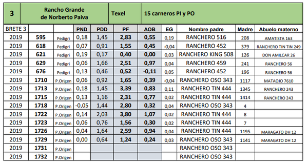 Lote 15 carneros PI y PO
