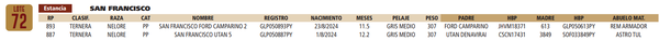Lote LOTE 72